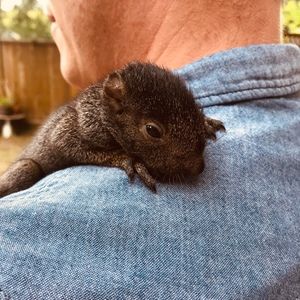 Meet your Posher, Jonathan